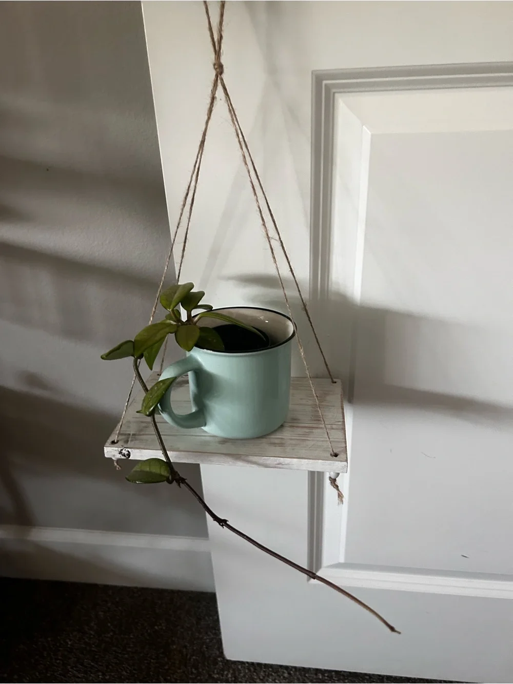 Hanging Wooden Shelf with Glass Planter - Green